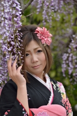 藤まつり