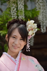 石井町藤まつり