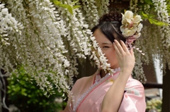 石井町藤まつり