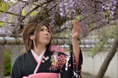藤まつり