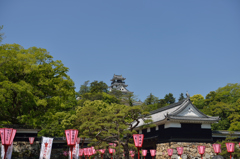 新緑に包まれた城