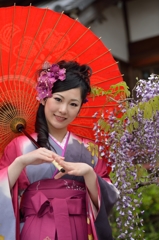 藤まつり