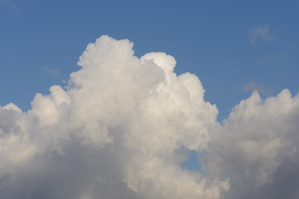 秋なのにもくもく