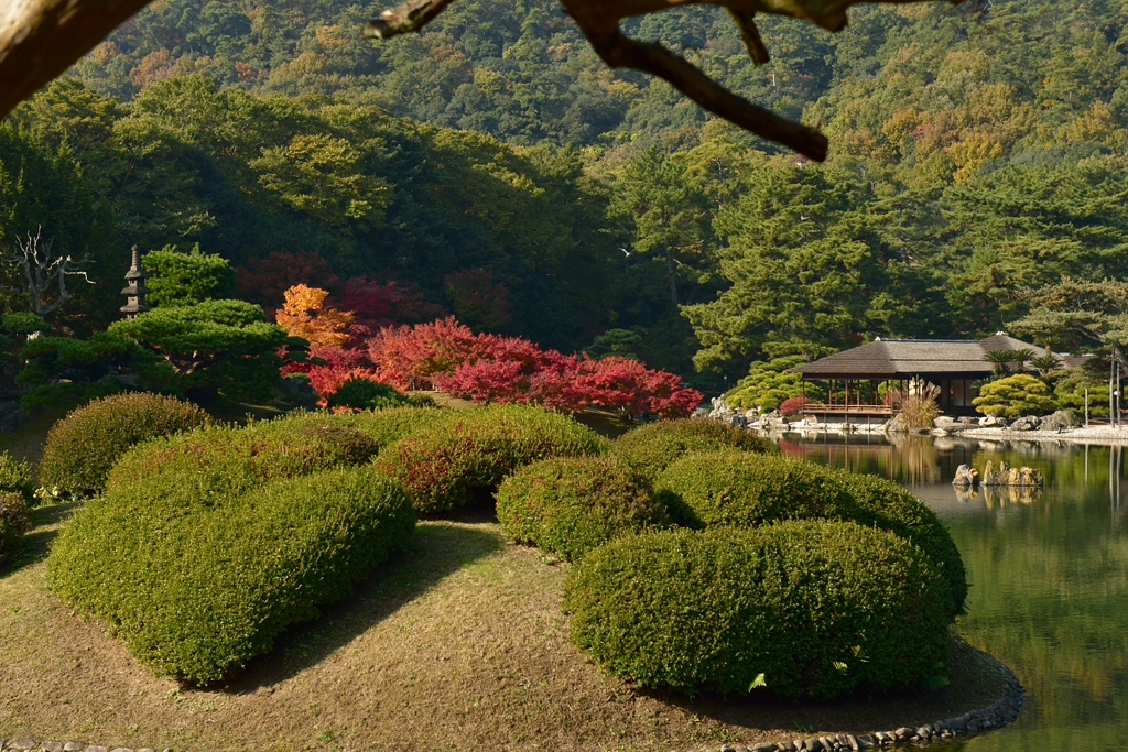 栗林公園の紅葉