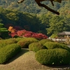 栗林公園の紅葉