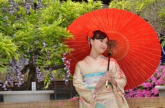 石井町藤まつり