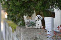 番犬www