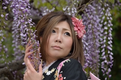 藤まつり