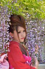 藤まつり