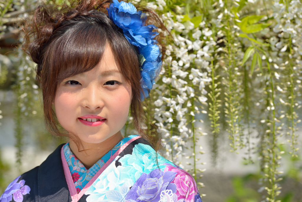 藤まつり