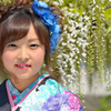 藤まつり