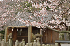 D7000＆24-70 F2.8