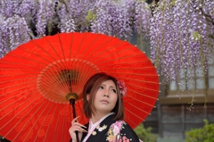 藤まつり