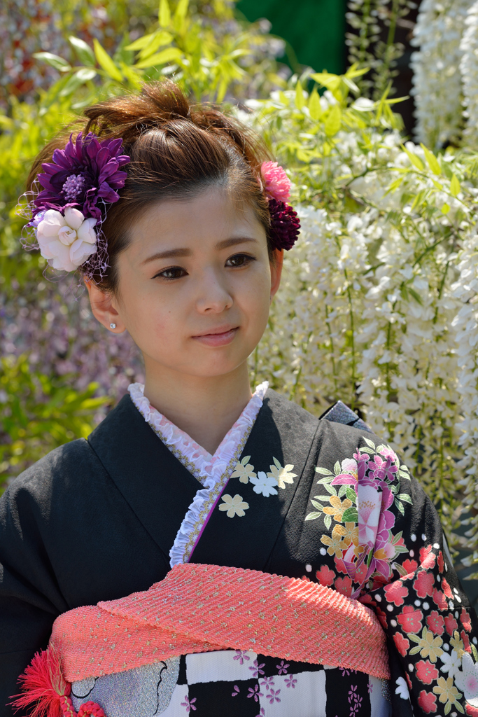 藤まつり