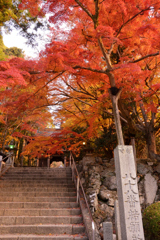 大窪寺