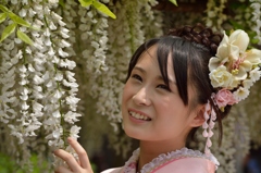 石井町藤まつり
