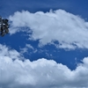 夏空