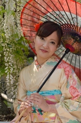 石井町藤まつり