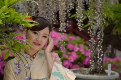 石井町藤まつり