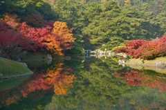 栗林公園の紅葉