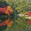 栗林公園の紅葉
