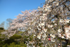 仏生山公園