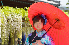藤まつり