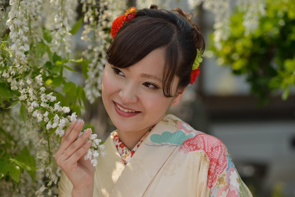石井町藤まつり
