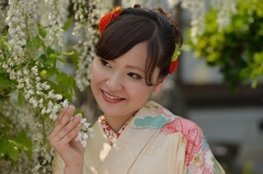 石井町藤まつり