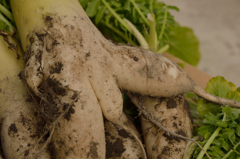 チビチン（笑）