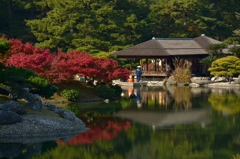 栗林公園の紅葉