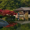 栗林公園の紅葉