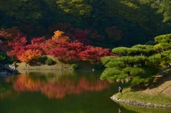 栗林公園の紅葉