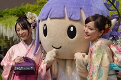 石井町藤まつり