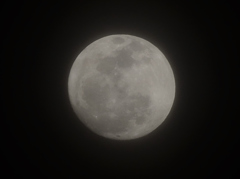 yesterday's moon