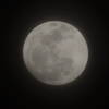 yesterday's moon