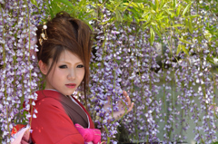 藤まつり