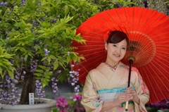 石井町藤まつり