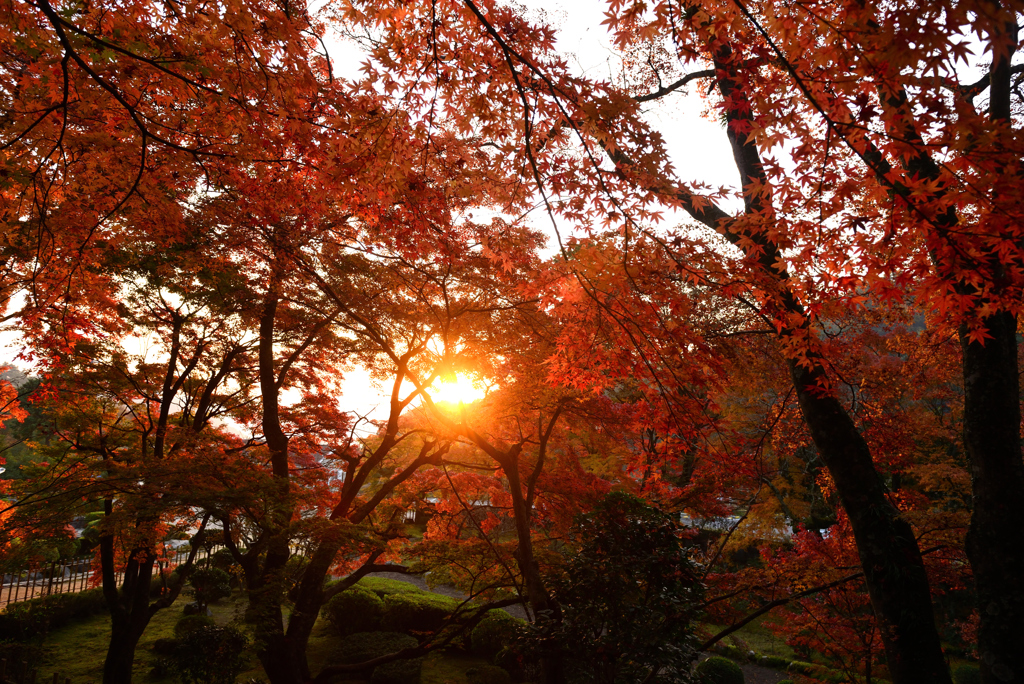 大窪寺