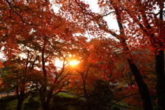 大窪寺