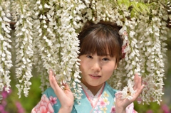 石井町藤まつり