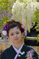 藤まつり
