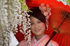 石井町藤まつり