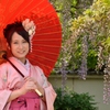 石井町藤まつり