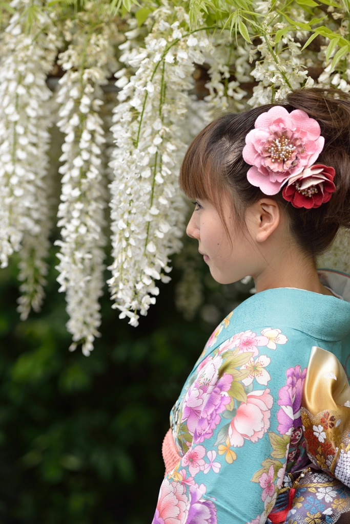 石井町藤まつり