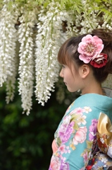 石井町藤まつり