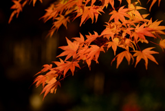大窪寺