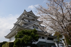 さくらとお城