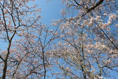 仏生山公園