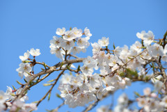 仏生山公園